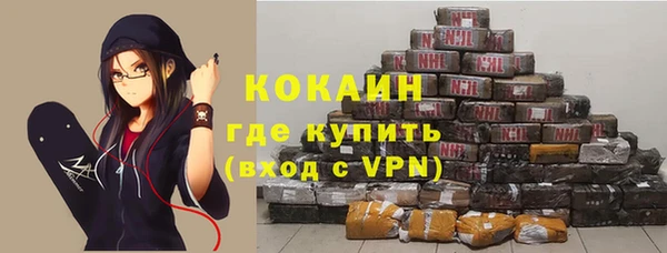 крисы Билибино