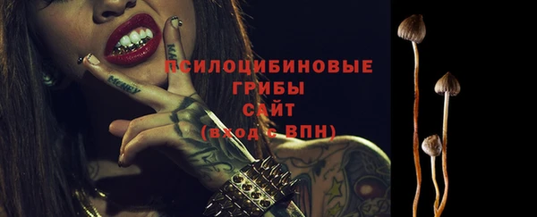 mix Бикин