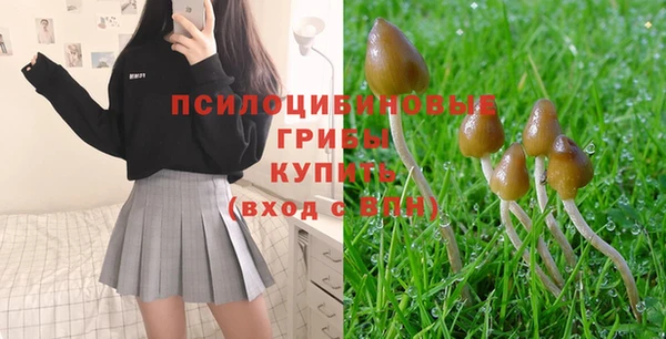 ГАЛЛЮЦИНОГЕННЫЕ ГРИБЫ Зеленокумск