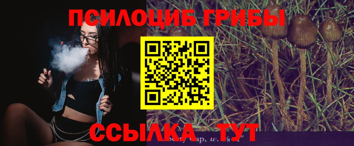 Псилоцибиновые грибы Cubensis  Галлюциногенные грибы прущие грибы  Вход с VPN  Кимовск 